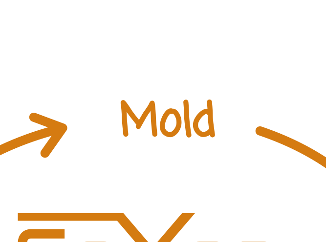 The CoXen Cycle: Mold phase